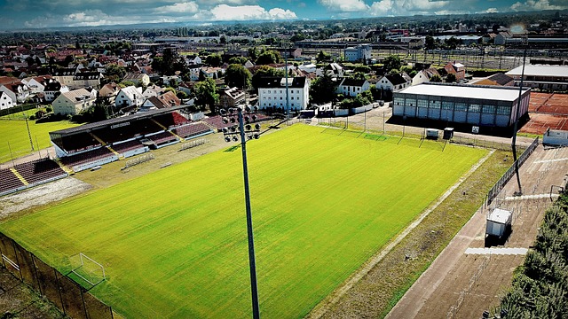 巨星的特点 巨星的特点