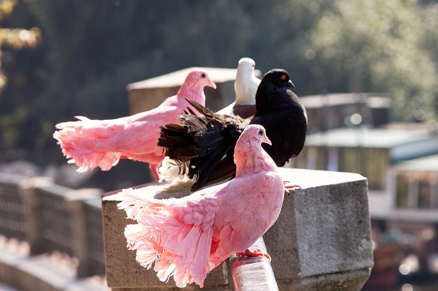 重新定义了 重新定义了