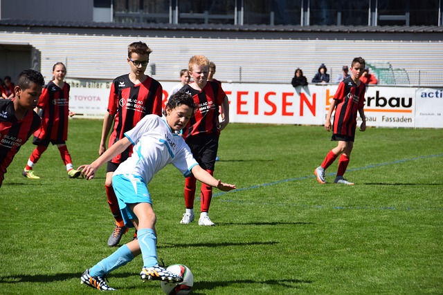 强了篮下的 强了篮下的