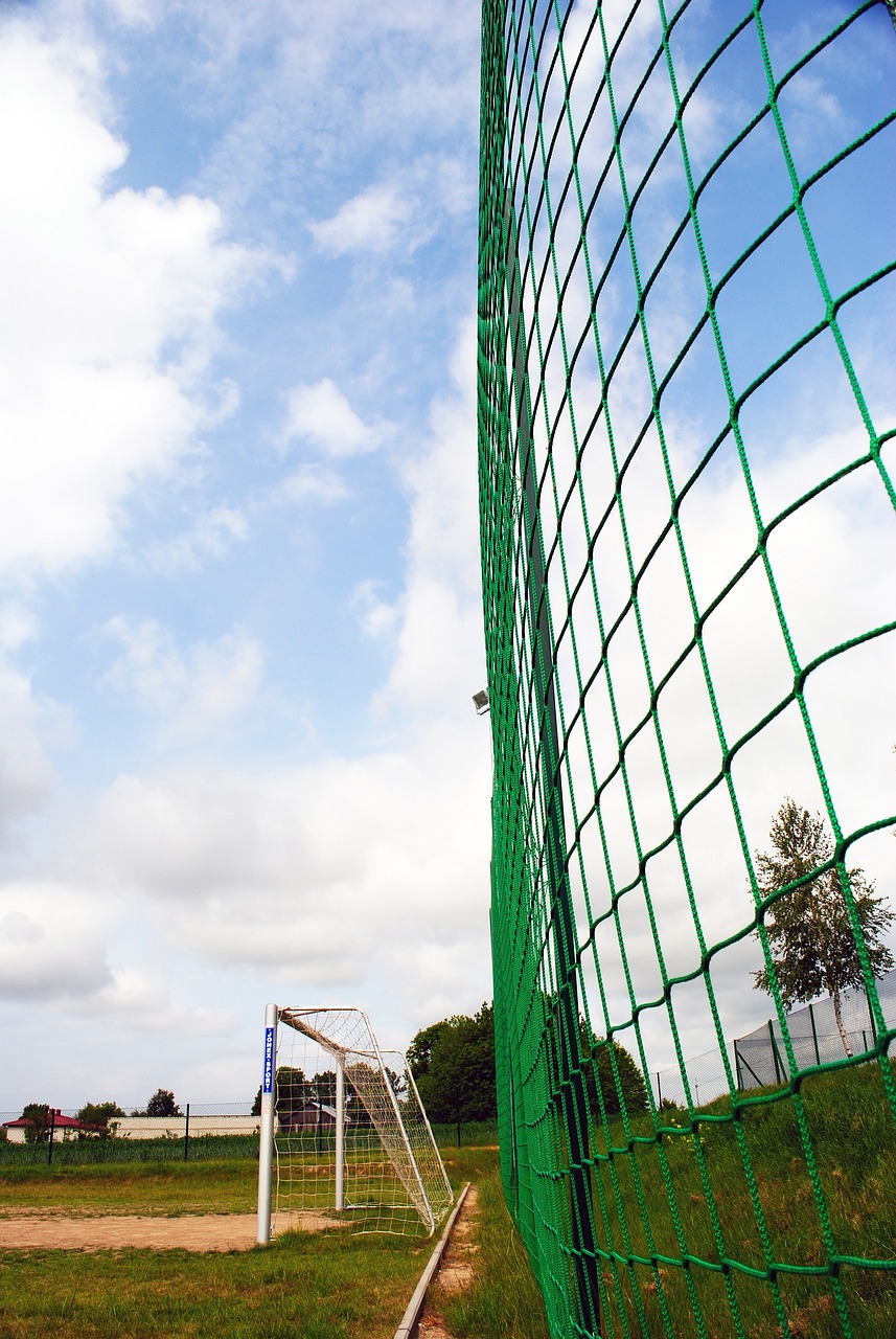 的人手中 的人手中