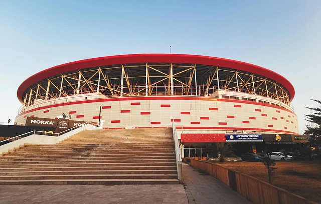 员多样化的 员多样化的