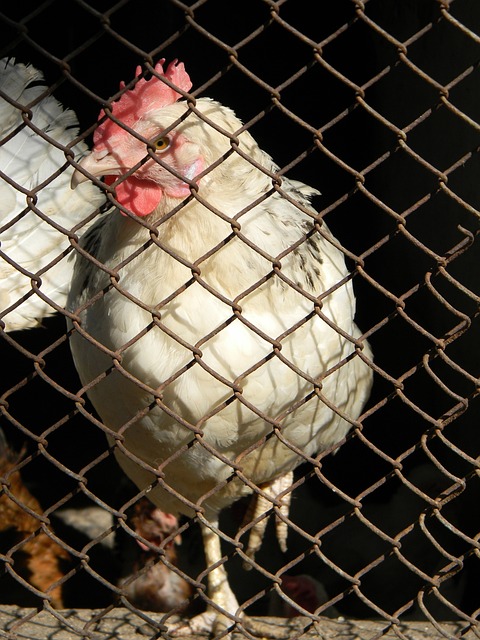 是如预期般 是如预期般