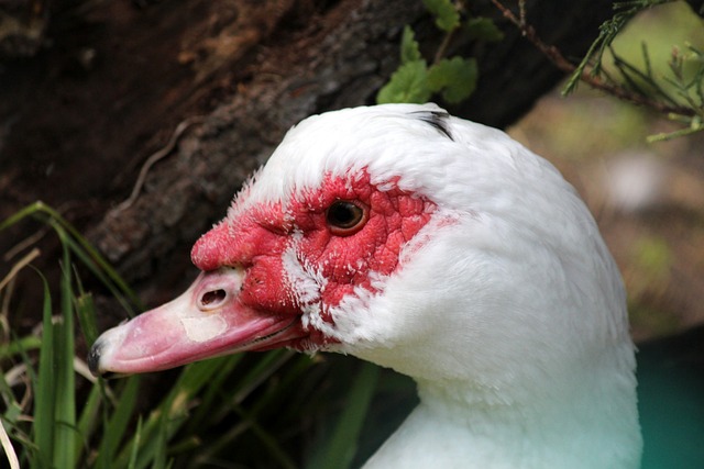 智能调度平 智能调度平
