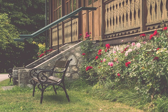 也有机会重 也有机会重