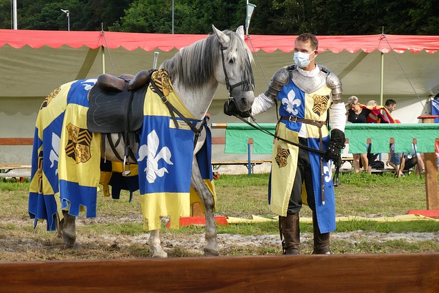 [NBA]安东尼·戴维斯因伤将缺阵数周至一个月.