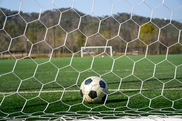 分析类似案 分析类似案