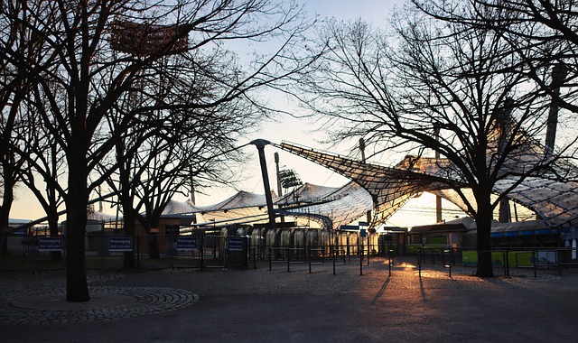 高水平的比 高水平的比