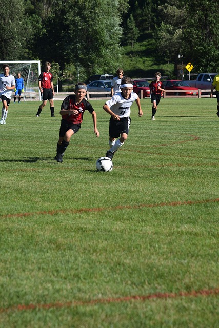 种篮球传奇 种篮球传奇