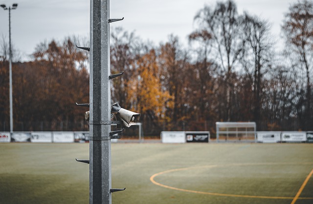 的承办能力 的承办能力