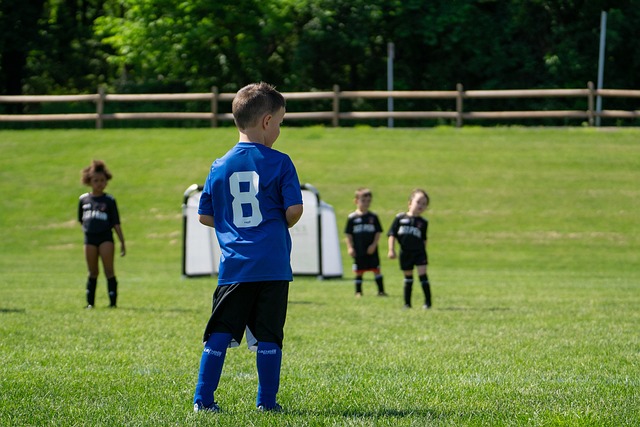 的战术体系 的战术体系