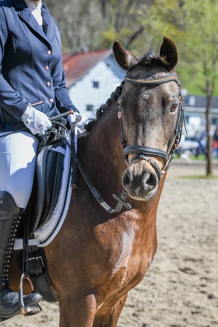 无疑是帮助 无疑是帮助